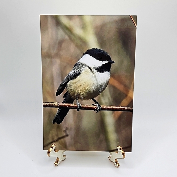 4x6 Chickadee Bird Oil Painting Print - Picture 5 of 5